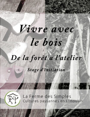 Stage d'initiation au travail du bois et la gestion forestière