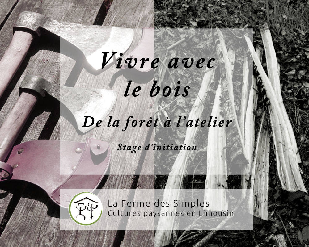 Stage Vivre avec le bois – de la forêt à l&rsquo;atelier