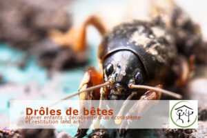 atelier nature enfant