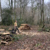 Vivre avec le bois - de la forêt à l'atelier – Image 9
