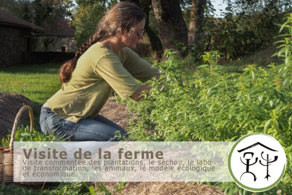 Visite de la ferme en périgord limousin