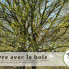 Vivre avec le bois