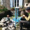 Visite commentée de la ferme – Image 11