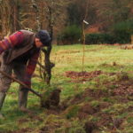 Travail paysan