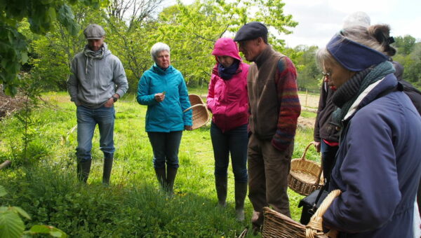 Balade salade - initiation au monde des plantes – Image 6