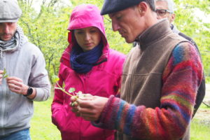 atelier pédagogique plantes sauvages