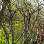 vacances famille limousin nature