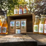 tisanes bio et produits paysans limousinsplantes sauvages et tisane