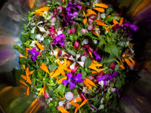 Salade de plantes sauvages