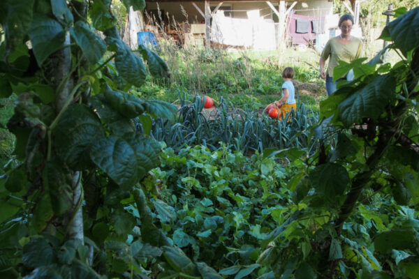 Visite commentée de la ferme – Image 5