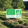 Visite commentée de la ferme – Image 3