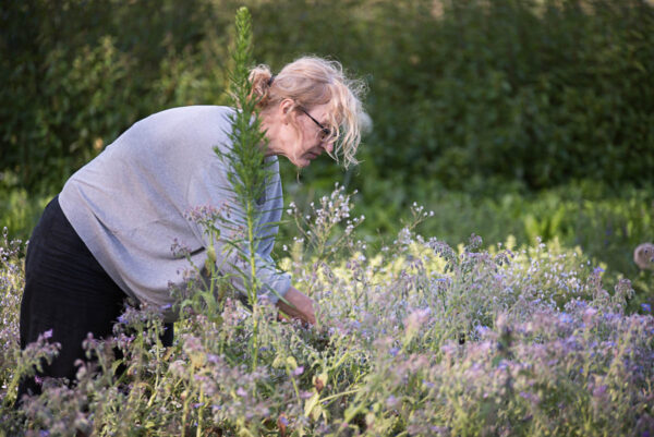 Stage Vivre avec les plantes - 2 jours – Image 5