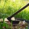atelier gestion de foret en limousin