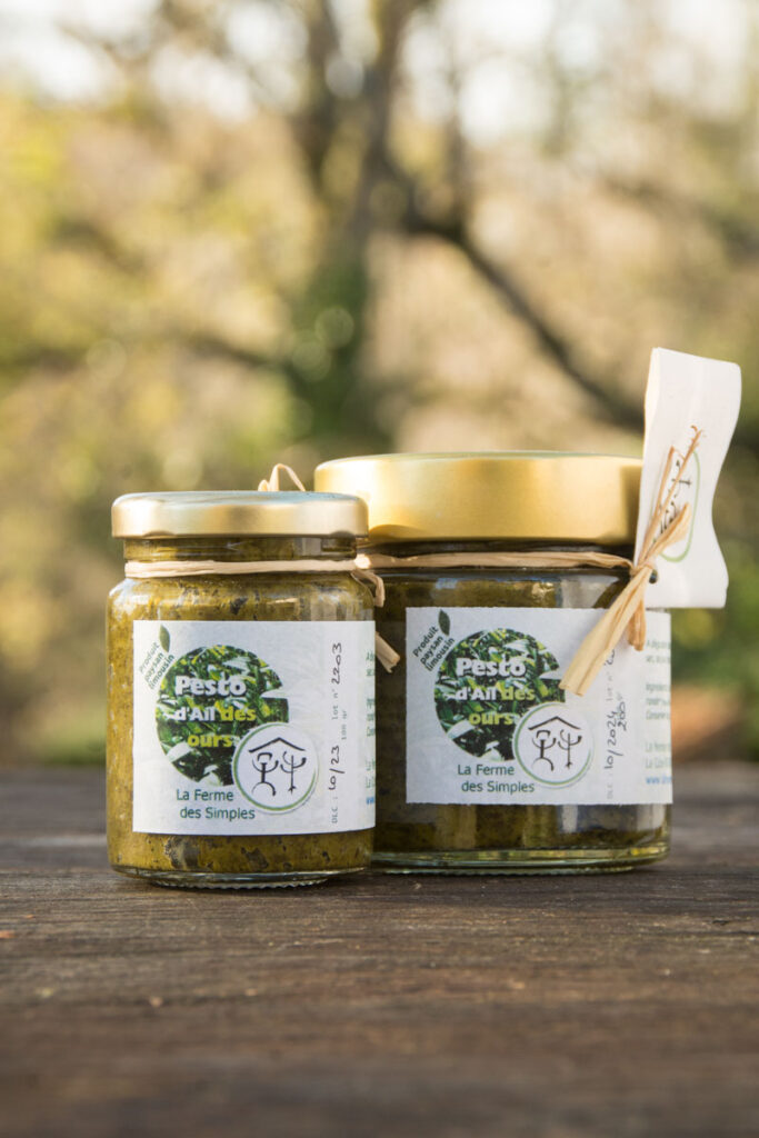 Pesto d'ail des ours bio