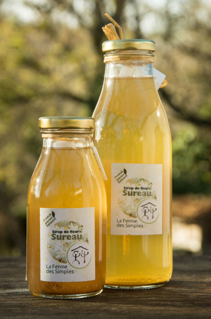 Sirop de fleurs de sureau bio