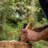 Vivre avec le bois - de la forêt à l'atelier – Image 6
