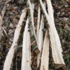 Vivre avec le bois - de la forêt à l'atelier – Image 11