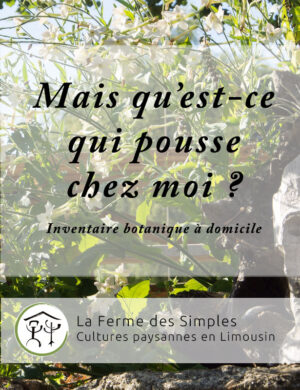 inventaire botanique à domicile